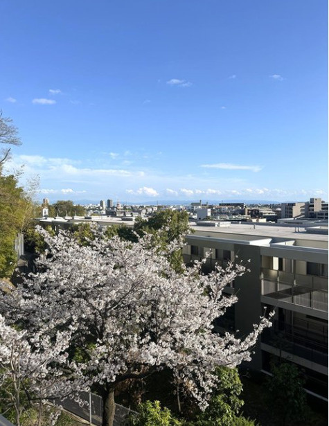 東急ドエル・アルス苦楽園桜町A棟の展望