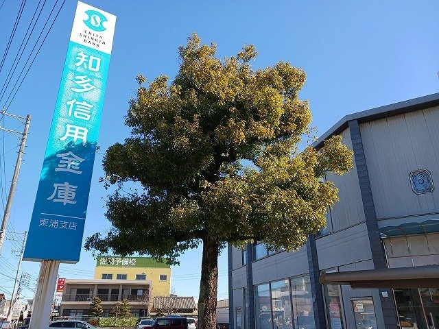 サンセールミリュー　　刈谷市近郊の賃貸はクラスホーム刈谷店の周辺|知多信用金庫東浦支店まで491m
