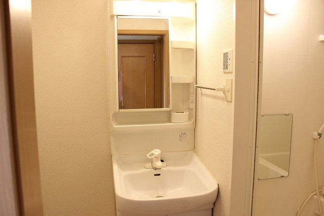 カルム六番町の洗面所