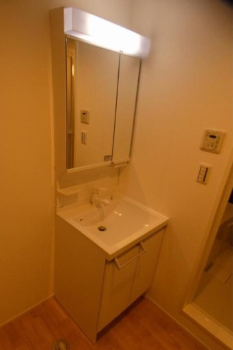 メゾン桜通りの洗面所