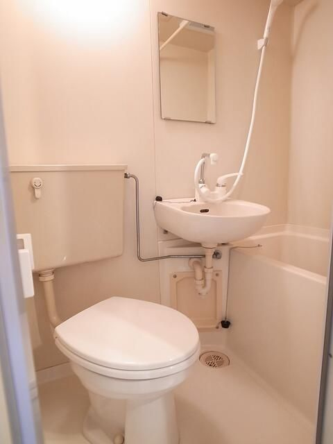 ダイアパレス大山の浴室