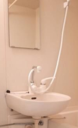 ダイアパレス大山の洗面所