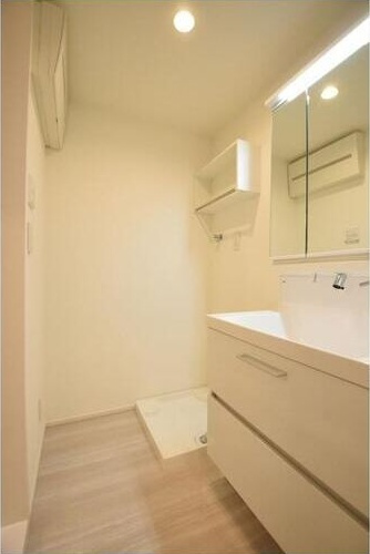 GreenVilleの洗面所