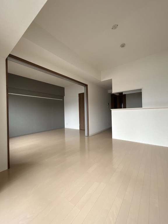 チェスナット西大島の居間・リビング