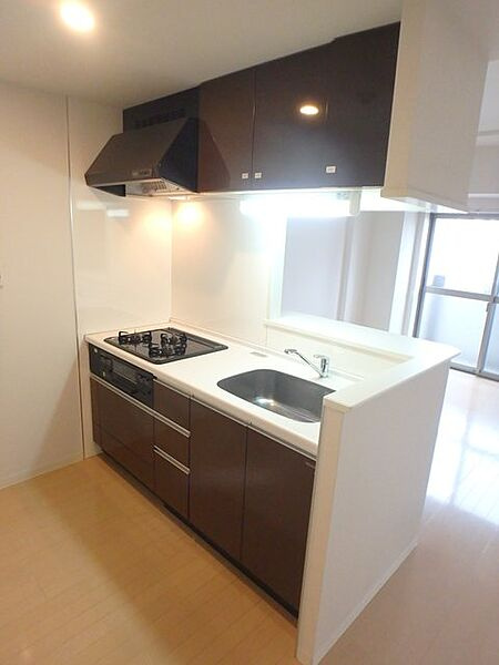 チェスナット西大島のキッチン