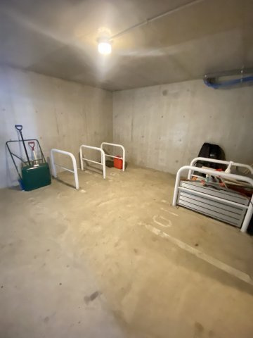 プルメリアのその他