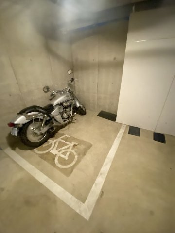 プルメリアのその他