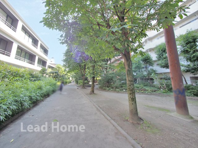 【その他】 | 初台パークサイドハイツ | 前面道路