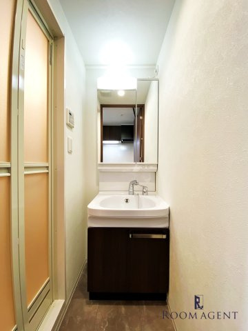 プレサンス高畑ルミアの洗面所