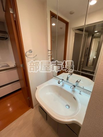 スカイコート隅田公園の洗面所