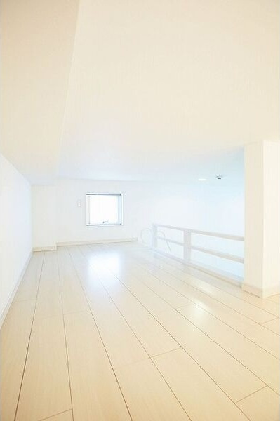 アルティプラーノのその他