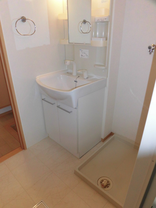 パークサイドハウス・Tの洗面所