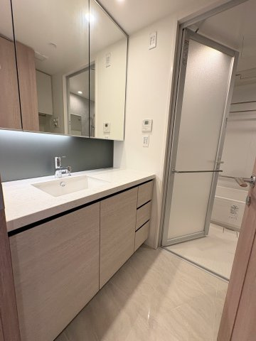 SKY DUO PARK VILLAGE T棟  35階の独立洗面台