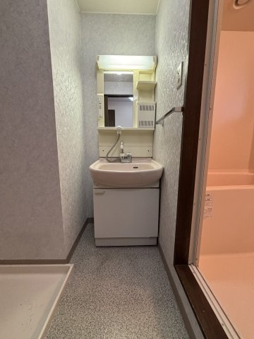 メゾンメモアールの洗面所