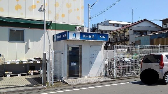 ドルフのその他
