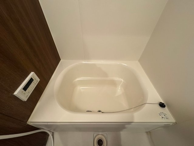 豊中市中桜塚１丁目の賃貸マンションの洗面所