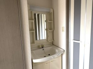 ネオハイム日之出の洗面所