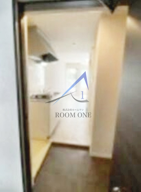 ＭＳエステートの玄関|玄関です。