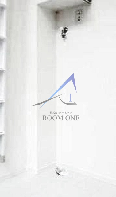 ノースヒル新宿ウエストの設備|洗濯機置き場です。