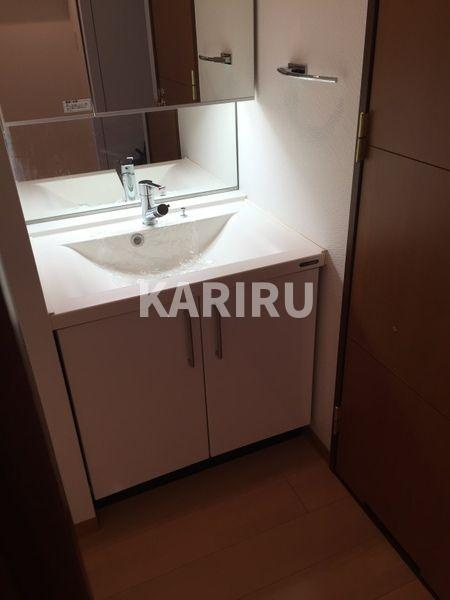 コンソラーレ東野田の洗面所