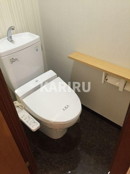 コンソラーレ東野田のトイレ