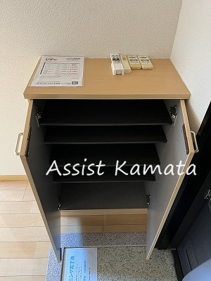 グラン・リーオ東雪谷の玄関