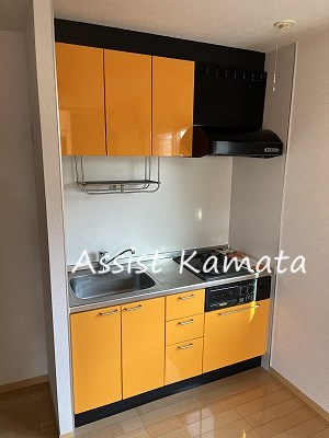 グラン・リーオ東雪谷のキッチン