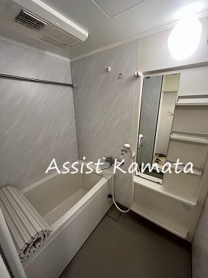 グラン・リーオ東雪谷の浴室