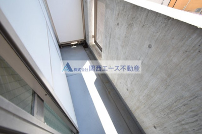  | フラットカキノキ