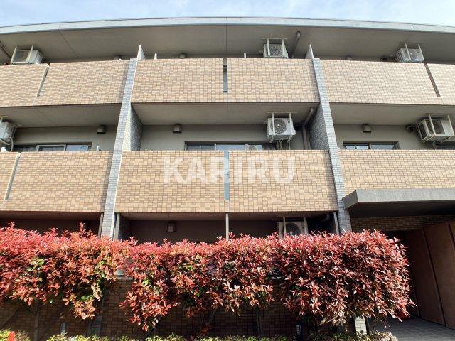 チャコーレ岡本のその他