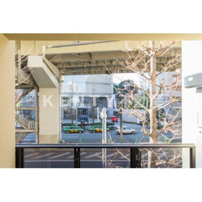 【展望】 | 松葉