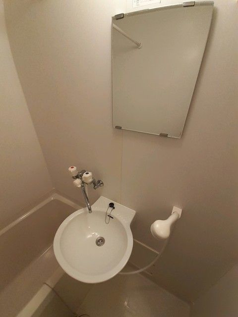 エクセレント・カーサ菜の洗面所