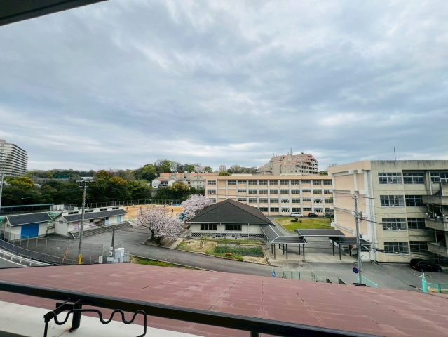 シャトー朝霧の展望