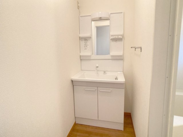 プルミエール相模原の洗面所