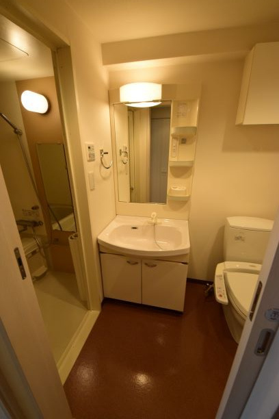 ドルチェ東京押上ツインズ壱番館の洗面所