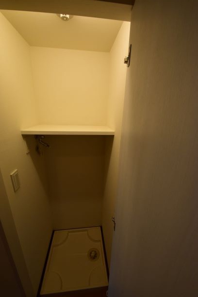 ドルチェ東京押上ツインズ壱番館の設備|洗濯機置き場