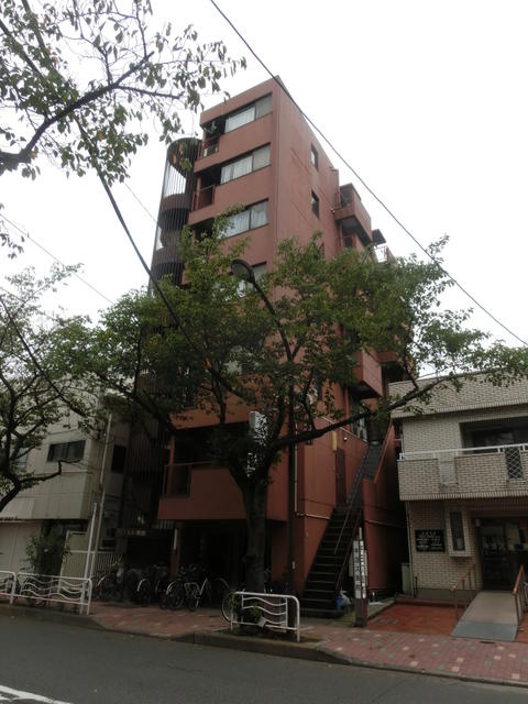 オリエンタル常盤の画像