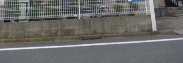 ジュネス桜台のエントランス