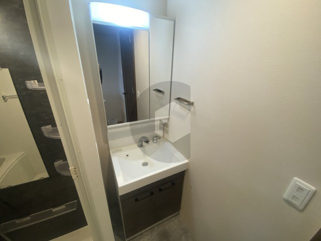 東大阪市小阪２丁目の賃貸マンションの洗面所