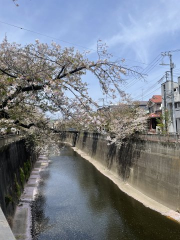 栄町　売地の周辺|石神井川