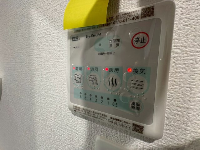 Torrie友井のその他