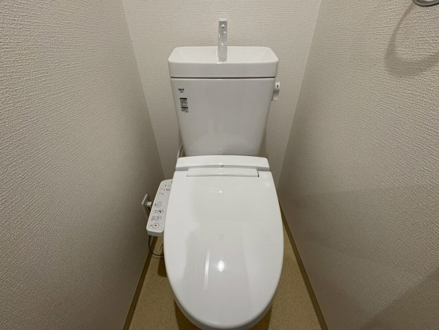 Torrie友井のトイレ