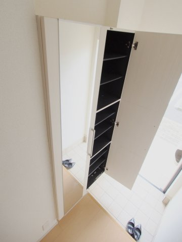 セントルイスのその他