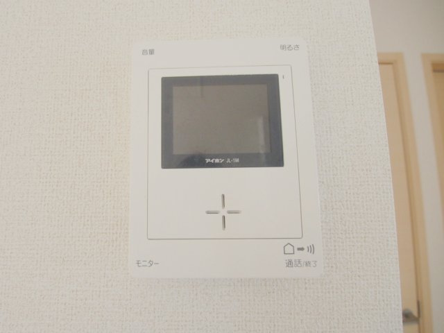 セントルイスのセキュリティ