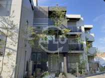 Jardin vertの画像