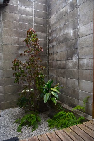 丹波口 「やっほー！」とオープンになれる京町家の庭