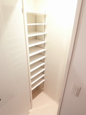 ウェスタ久留米けやき通り1の収納|こまごまとしたものを収納できそうですね