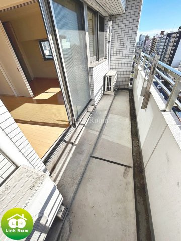 レシオイシワラのその他|参考写真