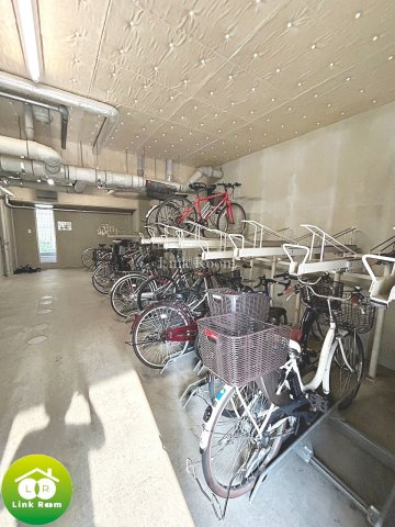 レシオイシワラのその他