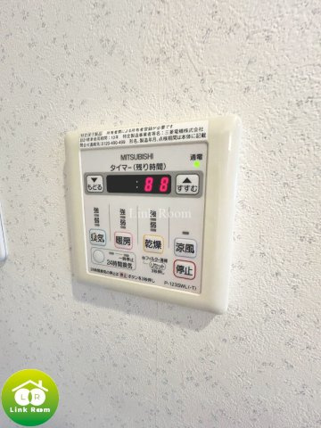 レシオイシワラのその他|参考写真